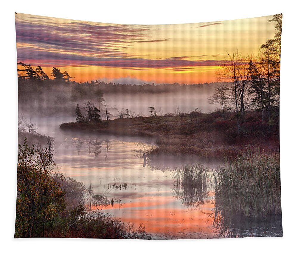 Dawn Tapestry featuring the photograph Autumn Dawning by Irwin Barrett