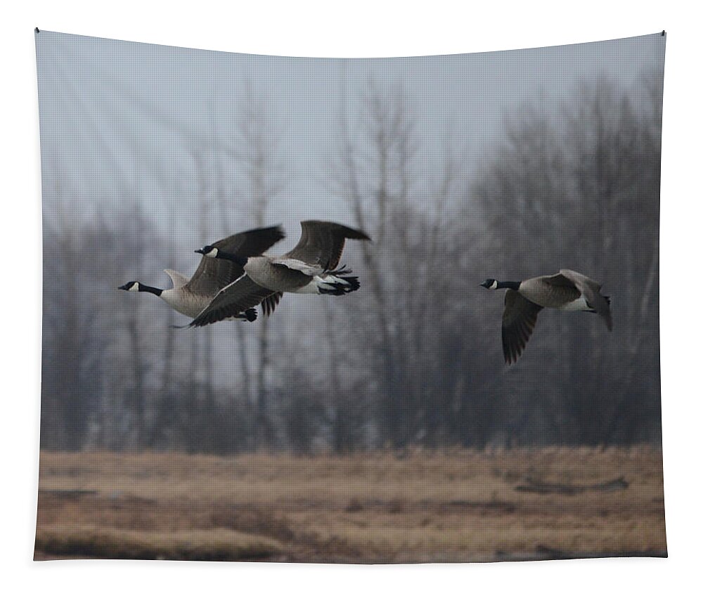 Geese Tapestry featuring the photograph Autumn Flight by Whispering Peaks Photography