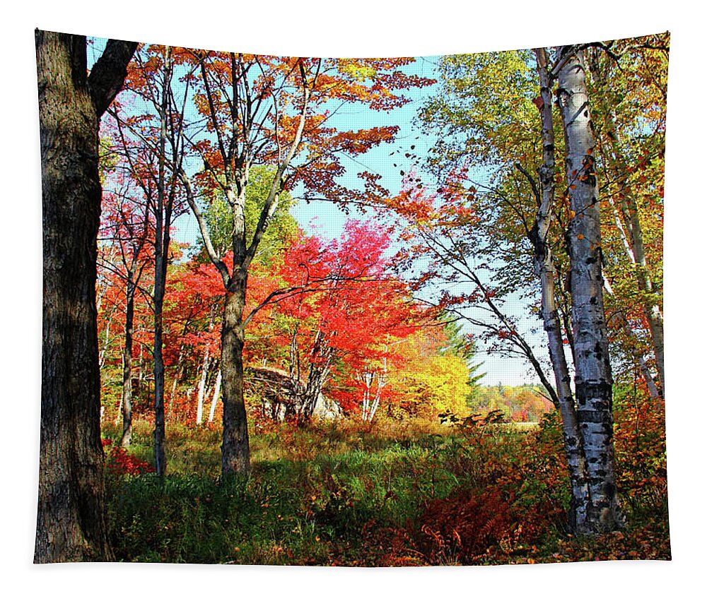 Killarney Provincial Park Tapestry featuring the photograph Autumn Forest by Debbie Oppermann