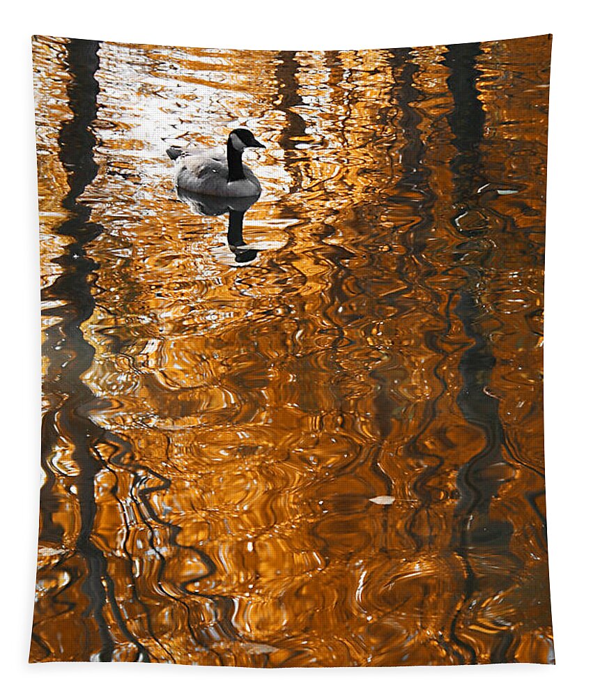 Autumn Tapestry featuring the photograph Autumn Goose Reflection by Brett Pelletier