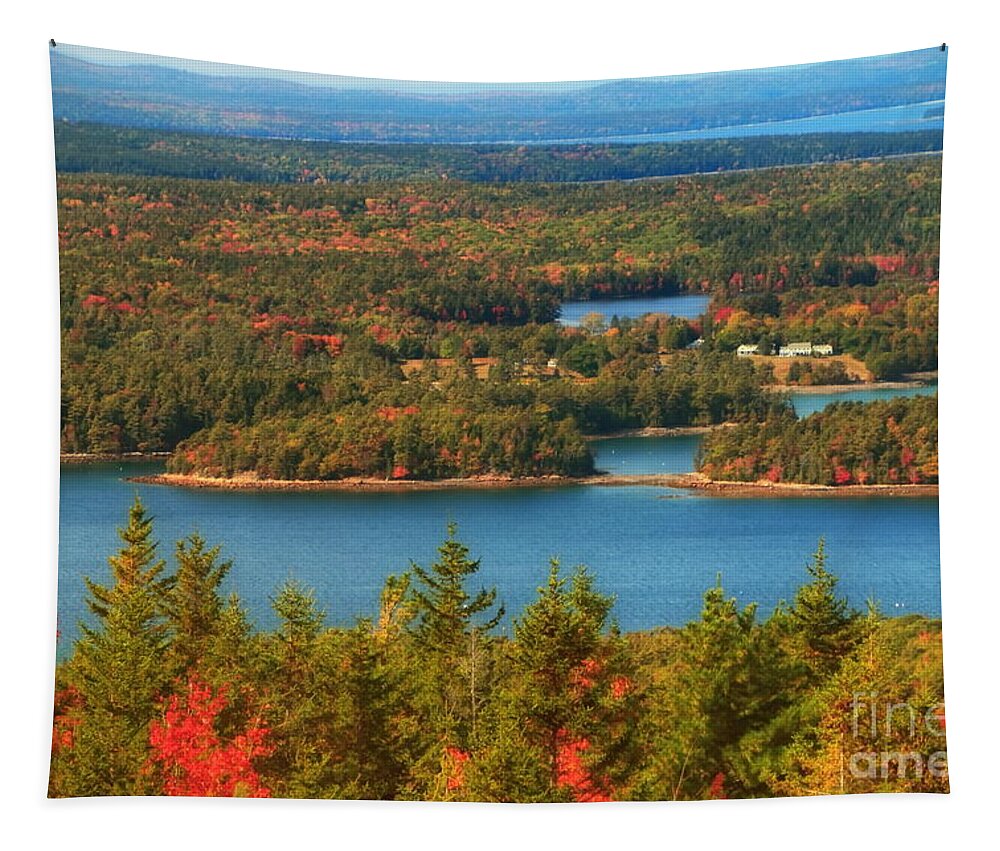 Autumn Tapestry featuring the photograph Autumn in Acadia by Elizabeth Dow