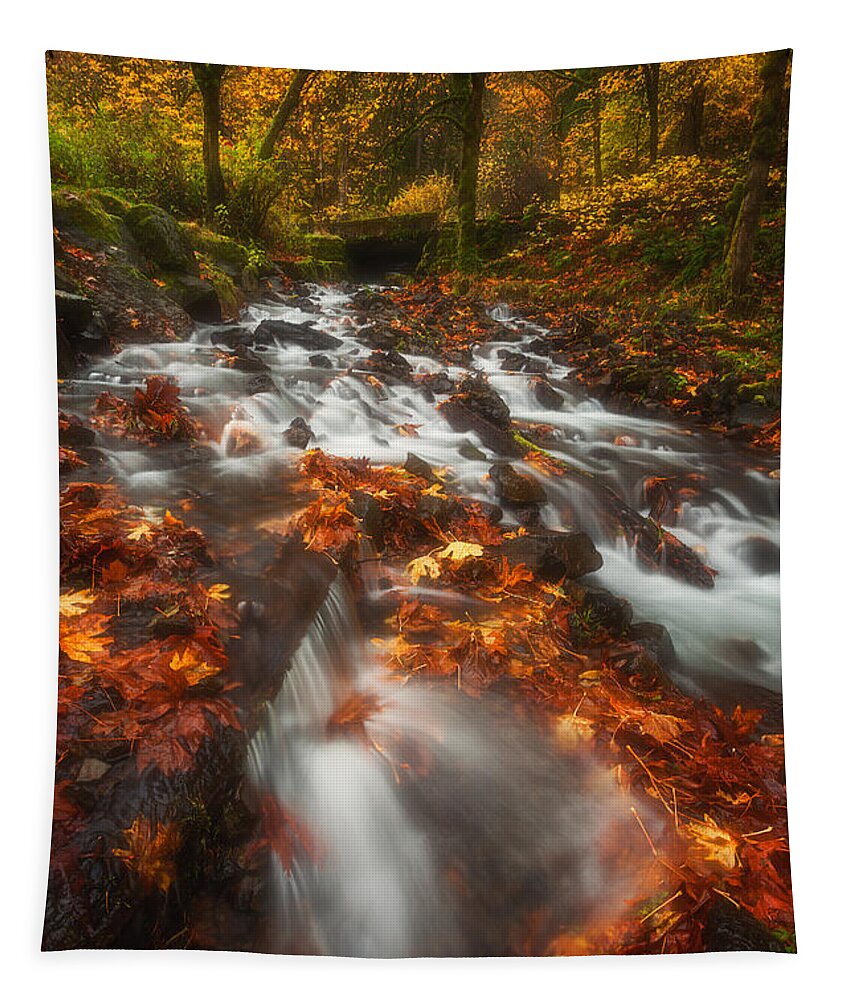Fall Tapestry featuring the photograph Autumn in the Gorge by Darren White