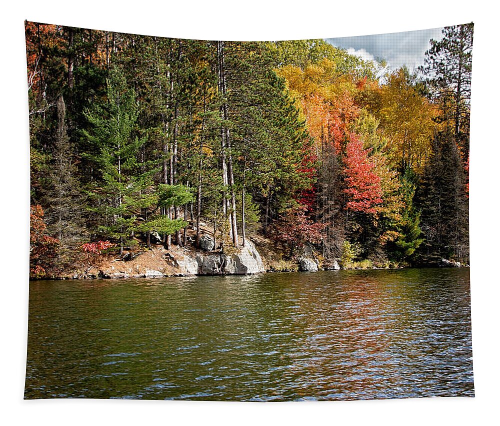 Autumn Landscape Print Tapestry featuring the photograph Autumn Landscape Print by Gwen Gibson