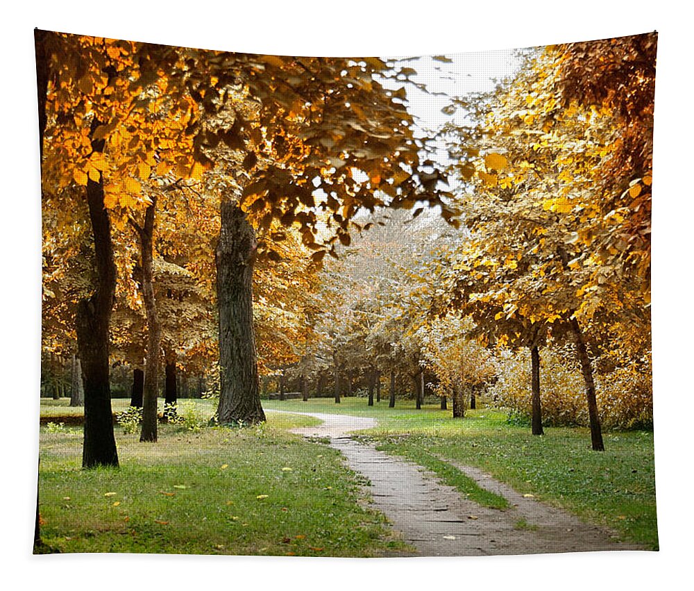 Fall Tapestry featuring the photograph Autumn by Masha Batkova