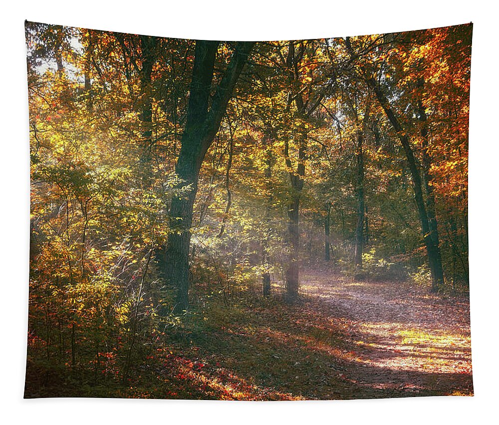 Autumn Tapestry featuring the photograph Autumn Path by Scott Norris
