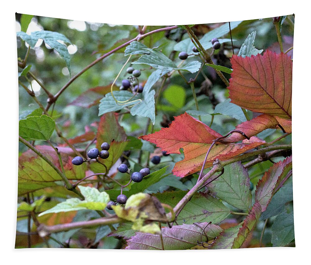 Berries Tapestry featuring the photograph Autumn Purple Berries by Lisa Blake
