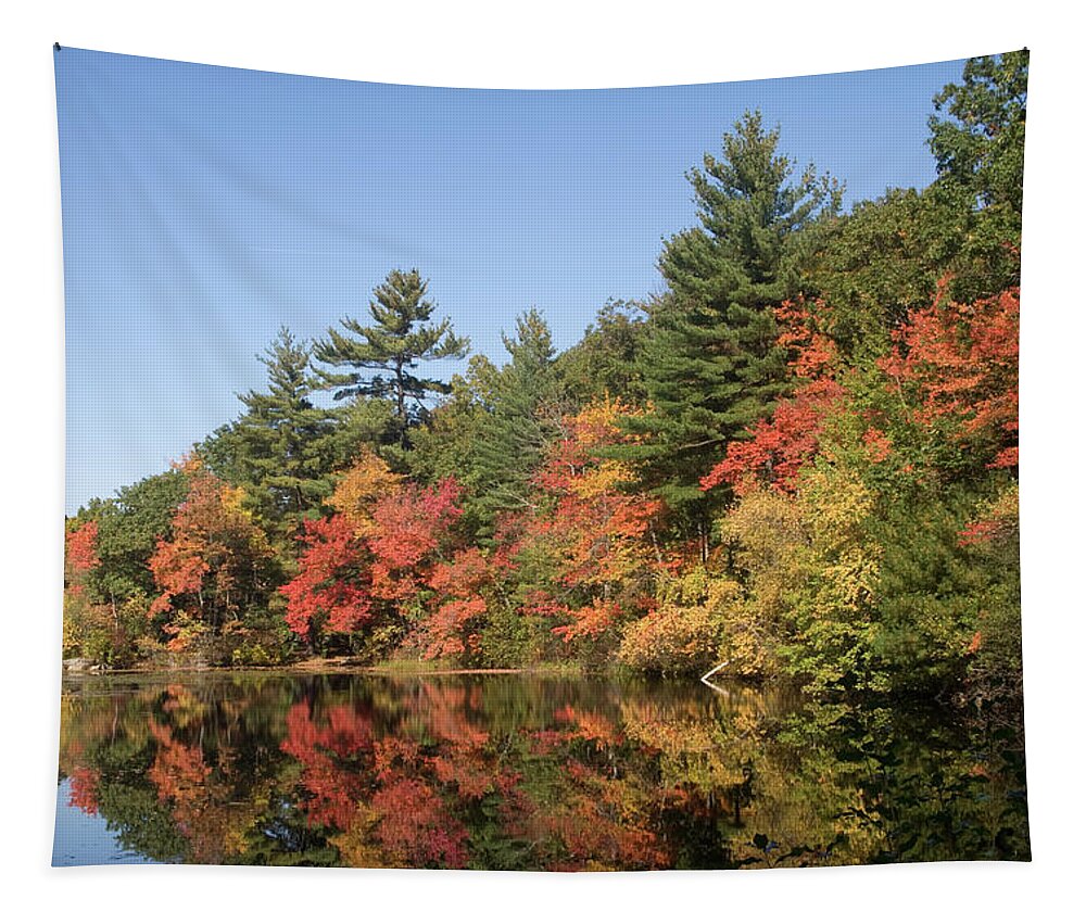 Autumn Tapestry featuring the photograph Autumn Reflections #3 by Adam Gladstone