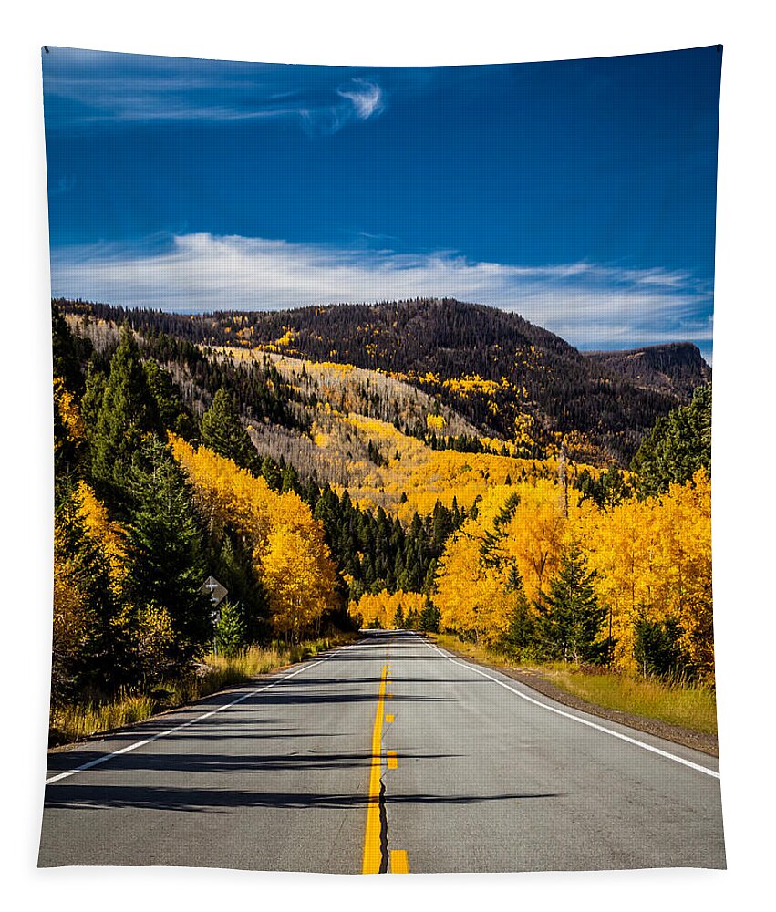 New Mexico Tapestry featuring the photograph Autumn Rockies by Ron Pate