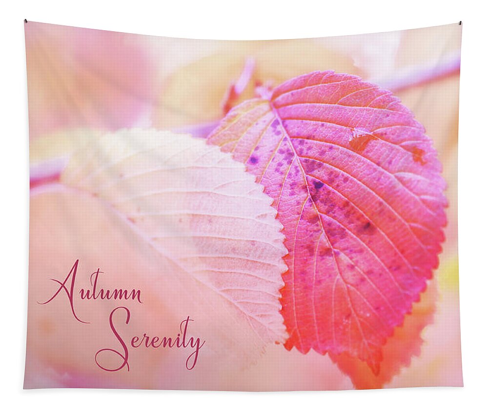 Autumn Tapestry featuring the photograph Autumn Serenity by Anita Pollak