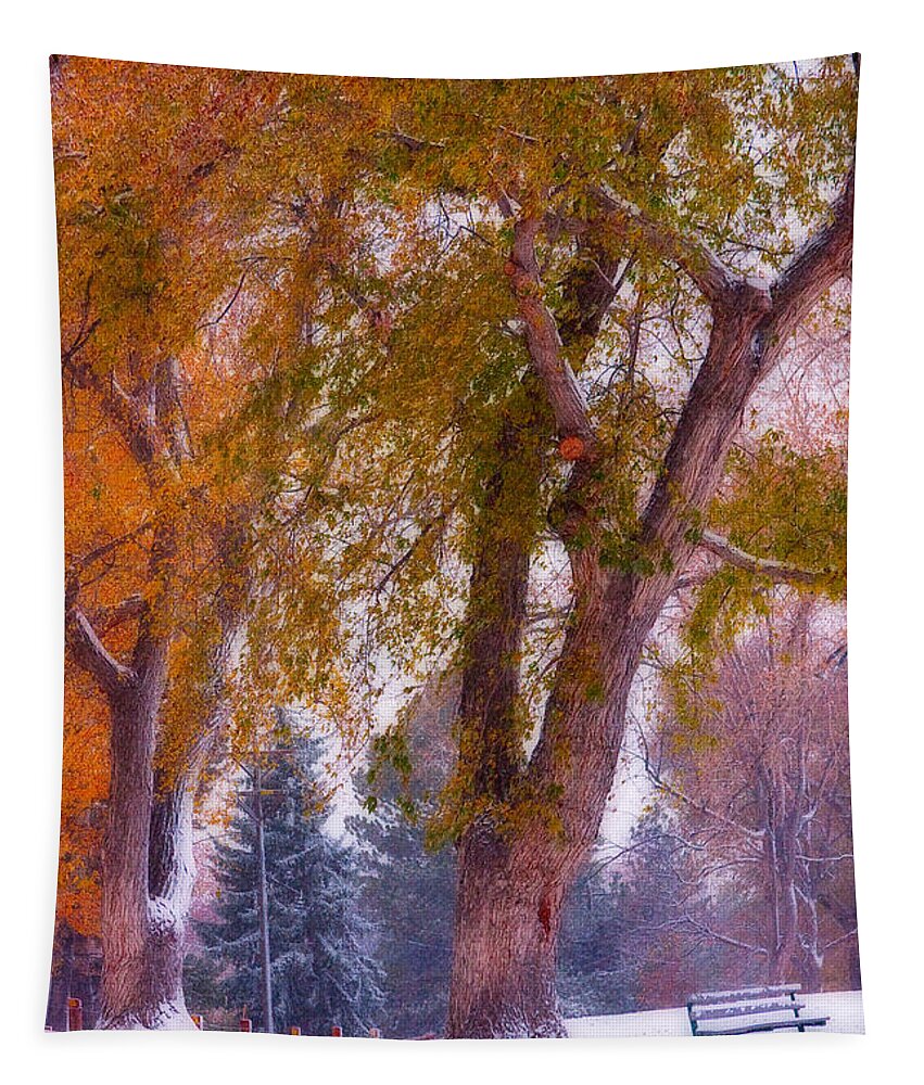Parks Tapestry featuring the photograph Autumn Snow Park Bench Peace by James BO Insogna