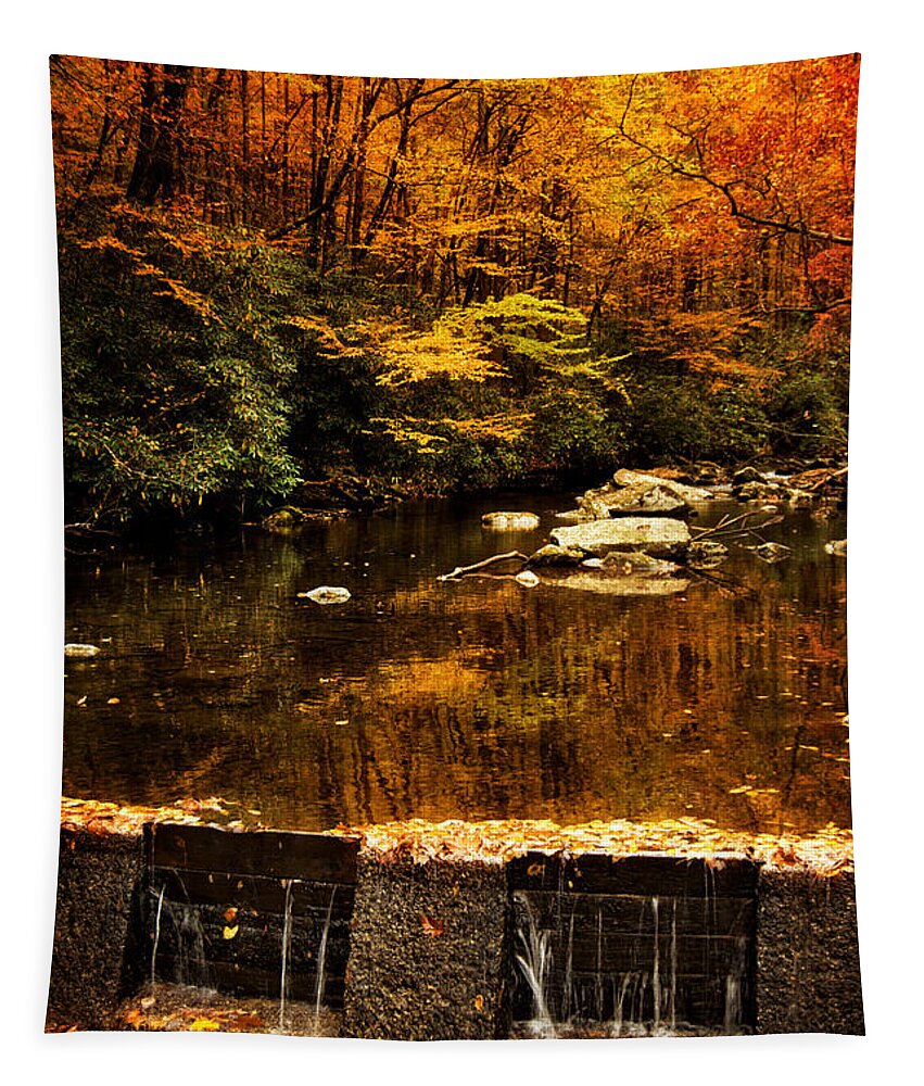 Tellico River Tapestry featuring the photograph Autumn Spillway by Greg and Chrystal Mimbs