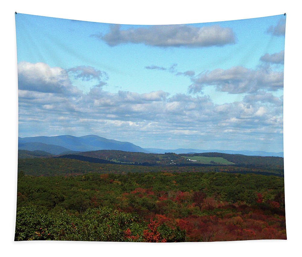 Autumn Tapestry featuring the photograph Autumn Touches In Vermont by Gary Blackman