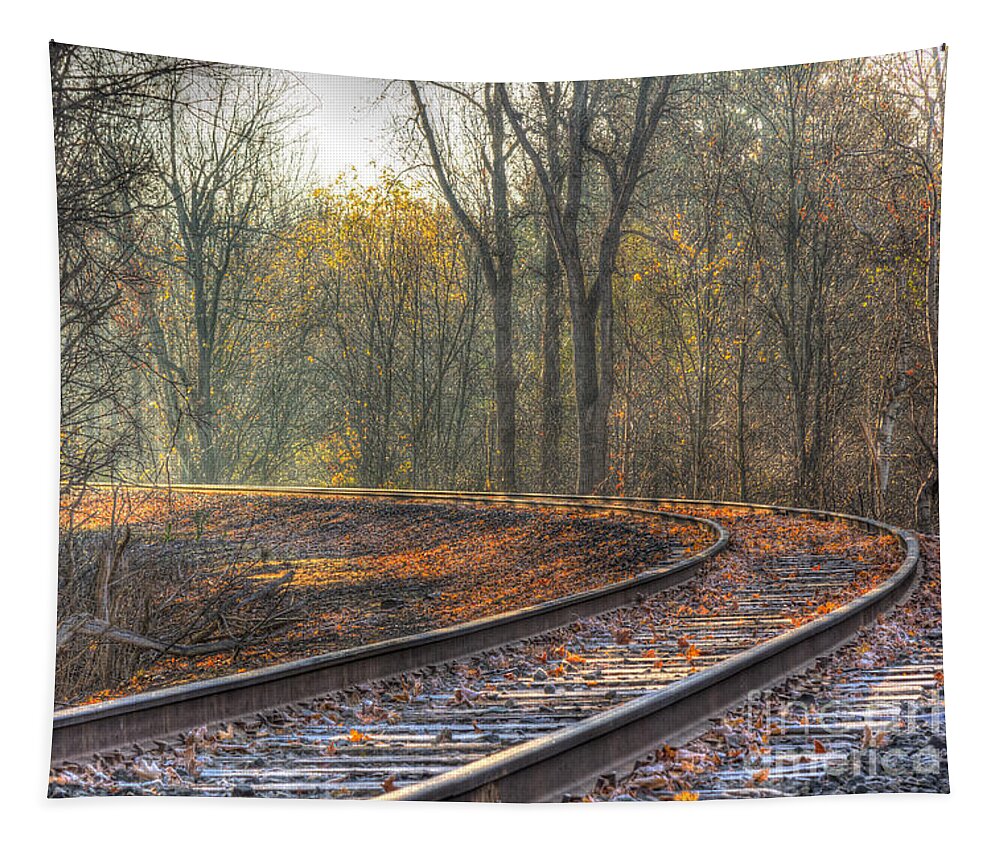 Landscape Tapestry featuring the photograph Autumn Tracks by Rod Best