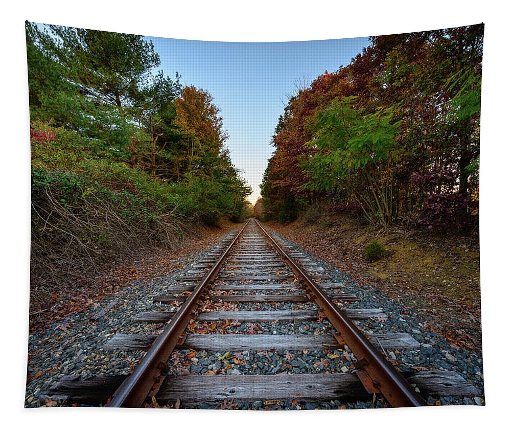 Fall Tapestry featuring the photograph Autumn Train by Michael Scott