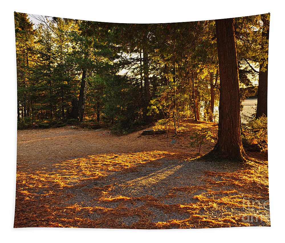 Trees Tapestry featuring the photograph Autumn trees near lake by Elena Elisseeva