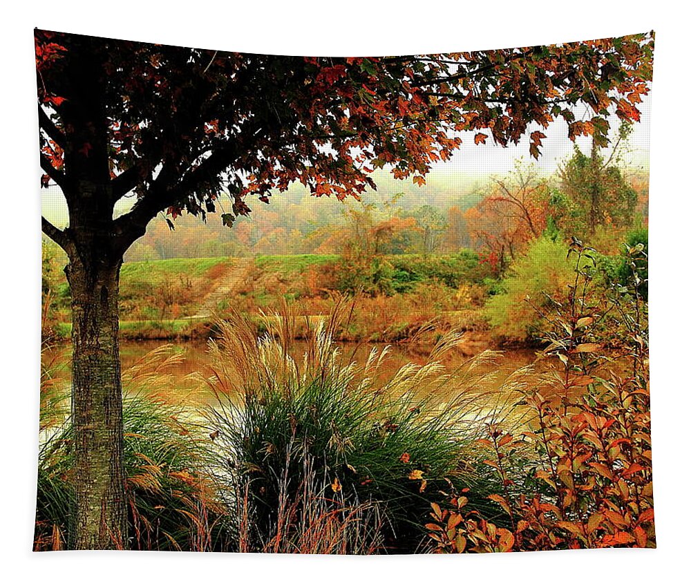 Autumn Tapestry featuring the photograph Autumn Views by Allen Nice-Webb