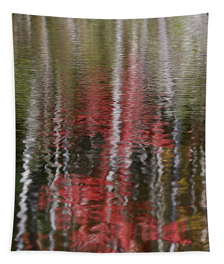 Abstract Tapestry featuring the photograph Autumn Water Color by Sue Capuano