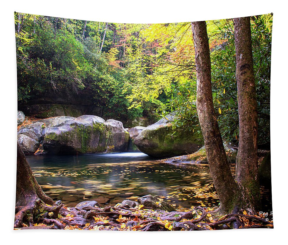 Big Creek Tapestry featuring the photograph Autumn Whirlpool by Peg Runyan