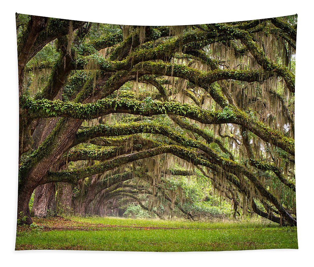 #faatoppicks Tapestry featuring the photograph Avenue of Oaks - Charleston SC Plantation Live Oak Trees Forest Landscape by Dave Allen