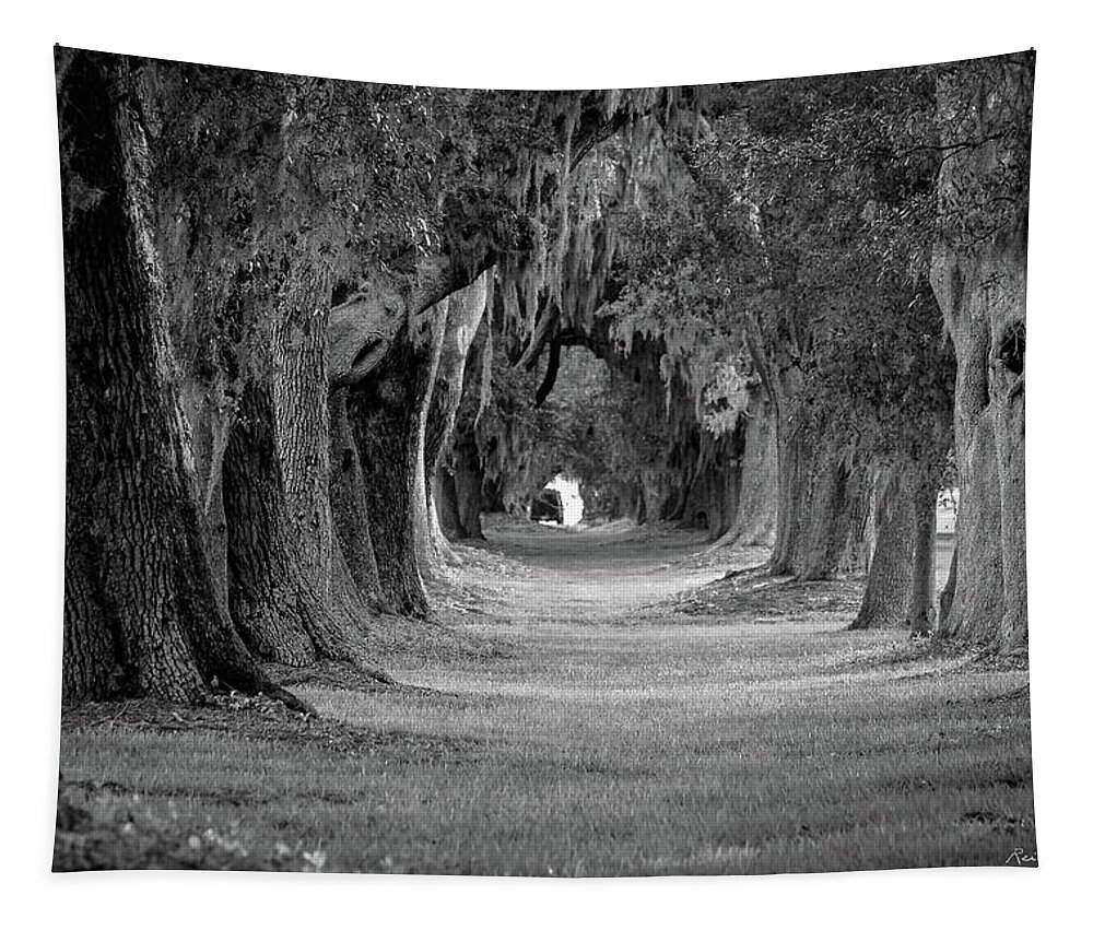 Reid Callaway Avenue Of Oaks Revisited Tapestry featuring the photograph Avenue of Oaks Revisited Sea Island Golf Club St Simons Island, GA by Reid Callaway