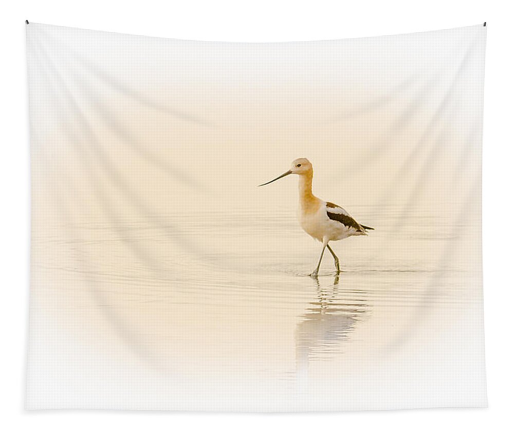 Bird Tapestry featuring the photograph Avocet Walk by Yeates Photography