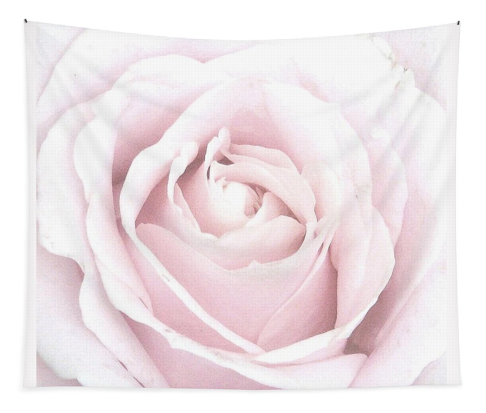 Pastel Pink Rose Tapestry featuring the photograph Awakening Beauty by Angela Davies