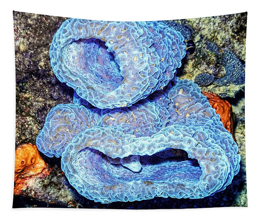 Azure Vase Sponge Tapestry featuring the photograph Azure Vase Sponge Impossible Blue by Perla Copernik