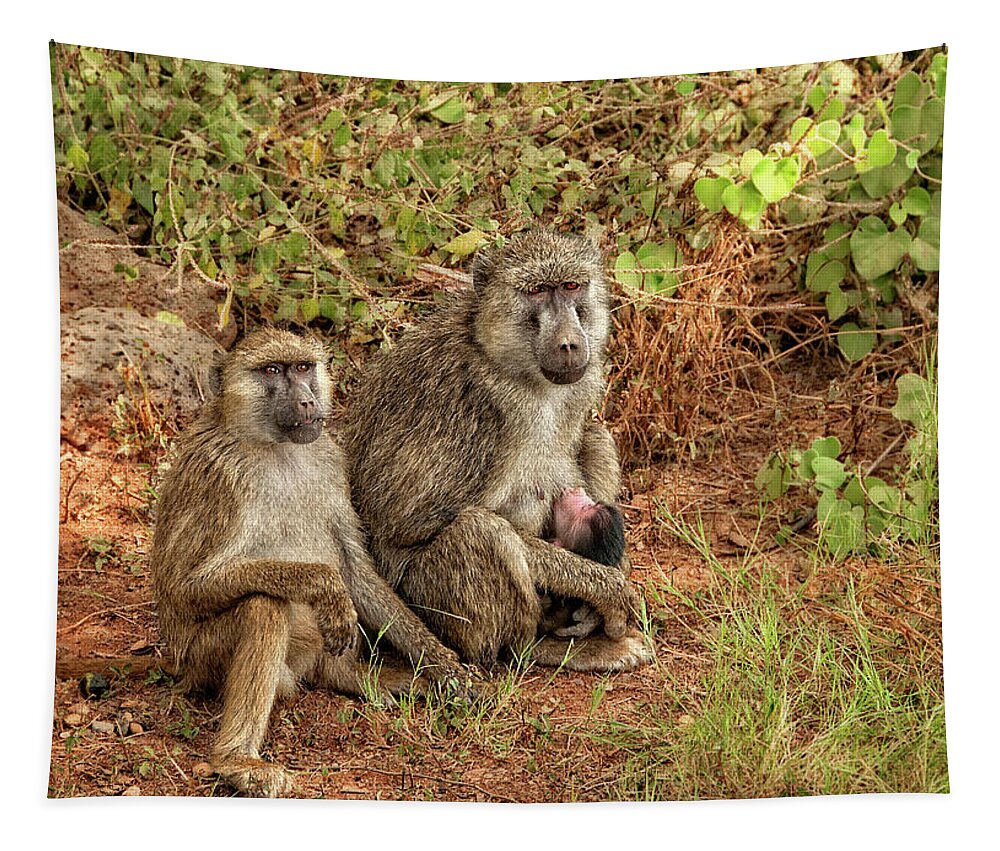 Africa Tapestry featuring the photograph Baboon Family in Kenya by Mitchell R Grosky