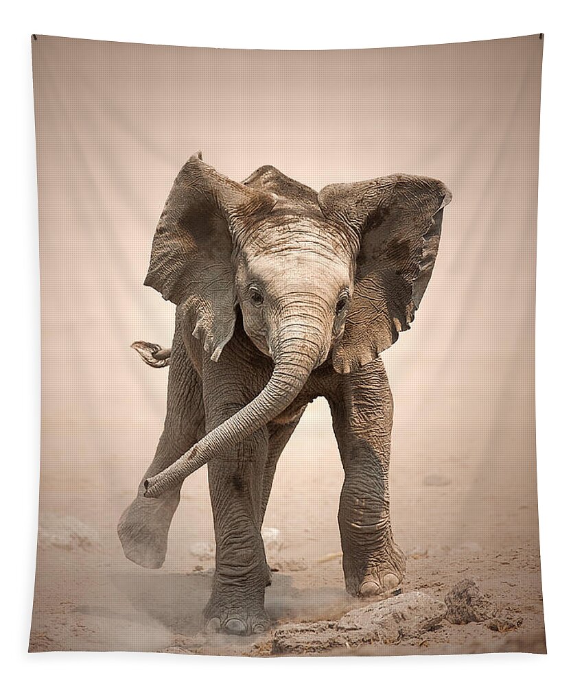 Elephant Tapestry featuring the photograph Baby Elephant mock charging by Johan Swanepoel