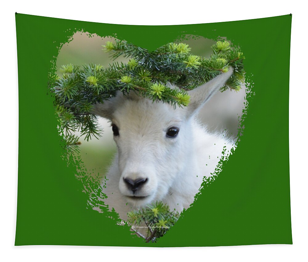 Mountain Goat Tapestry featuring the photograph Baby Mountain Goat Heart by Whispering Peaks Photography