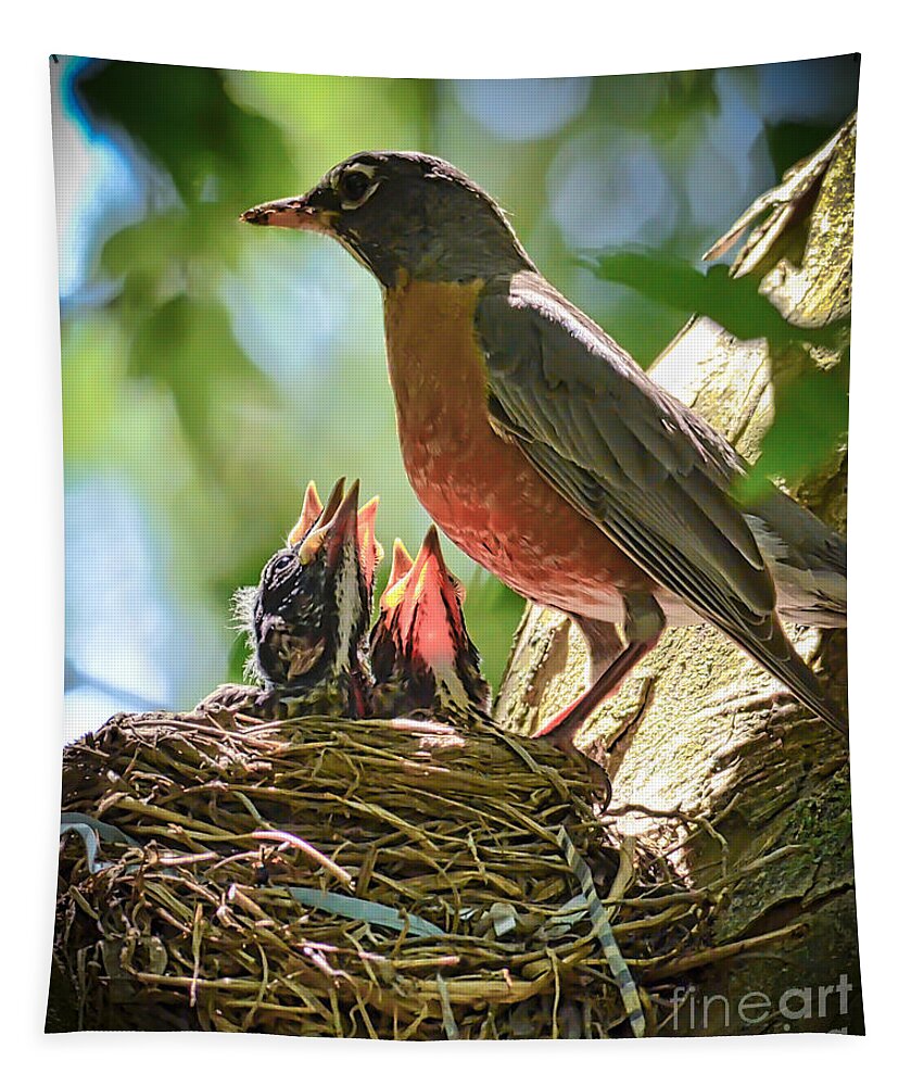 Baby Robins Tapestry featuring the photograph Baby Robins - Ready and Waiting by Kerri Farley