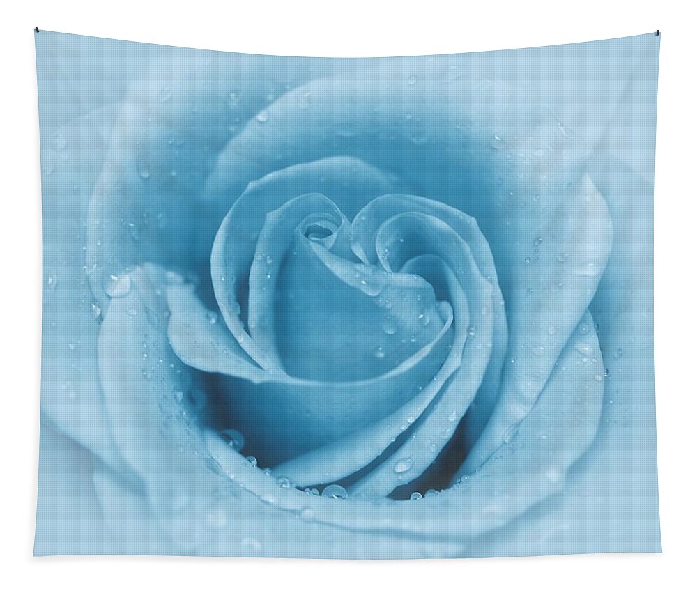 Rose Tapestry featuring the photograph Baby Soft - Blue by Angie Tirado