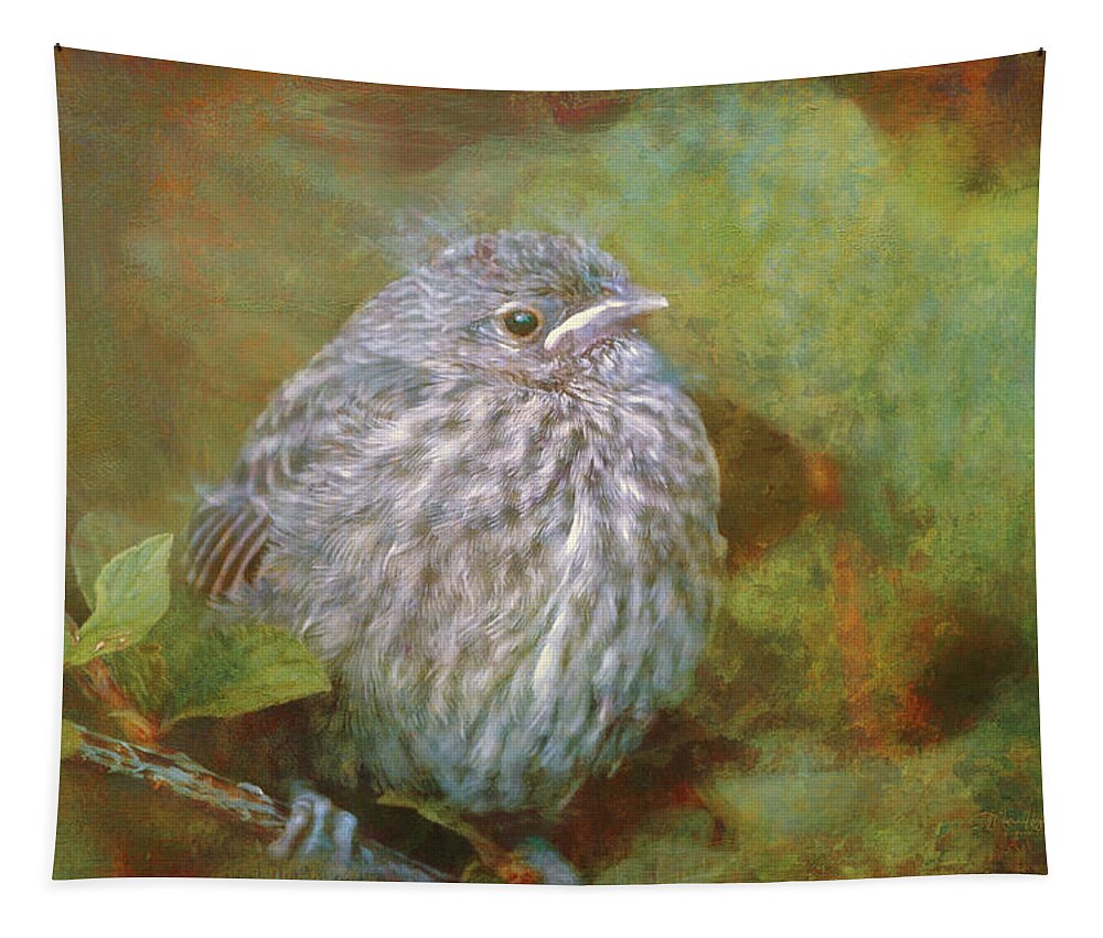 Branch Tapestry featuring the photograph Baby Sparrow - Digital Painting by Maria Angelica Maira