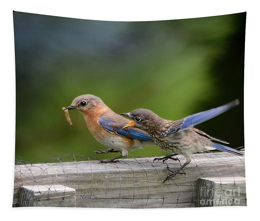 Nature Tapestry featuring the photograph Bluebird Baby Talk by Nava Thompson
