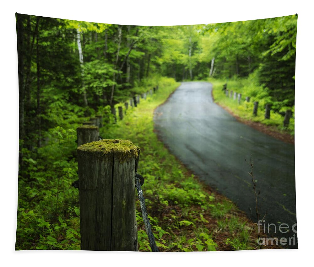 Road Tapestry featuring the photograph Back Road by Alana Ranney