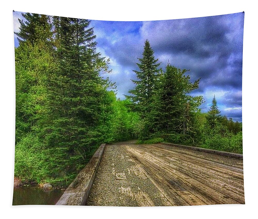 Loggingroads Tapestry featuring the photograph Backroad Wandering by Nick Heap