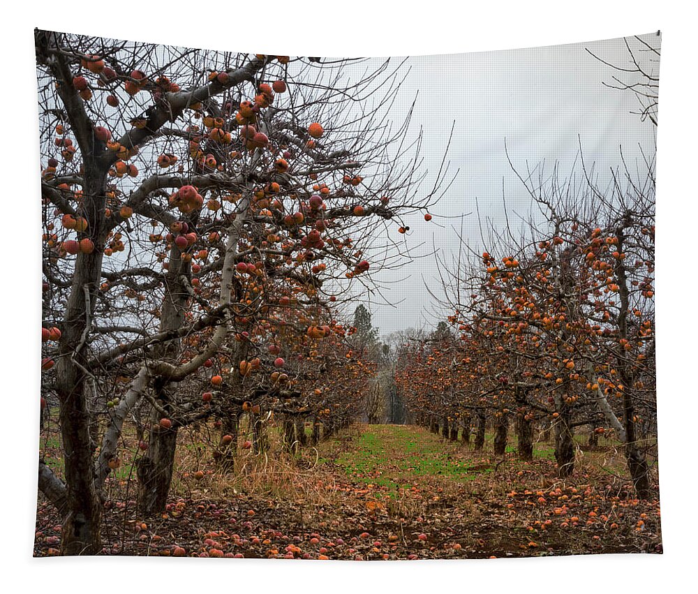 Bad Apples Tapestry featuring the photograph Bad Apples by Mitch Shindelbower