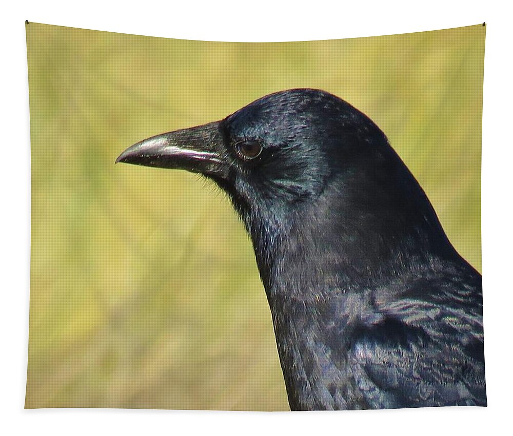 Corvus Corax Tapestry featuring the photograph Corvus Corax by Michele Penner