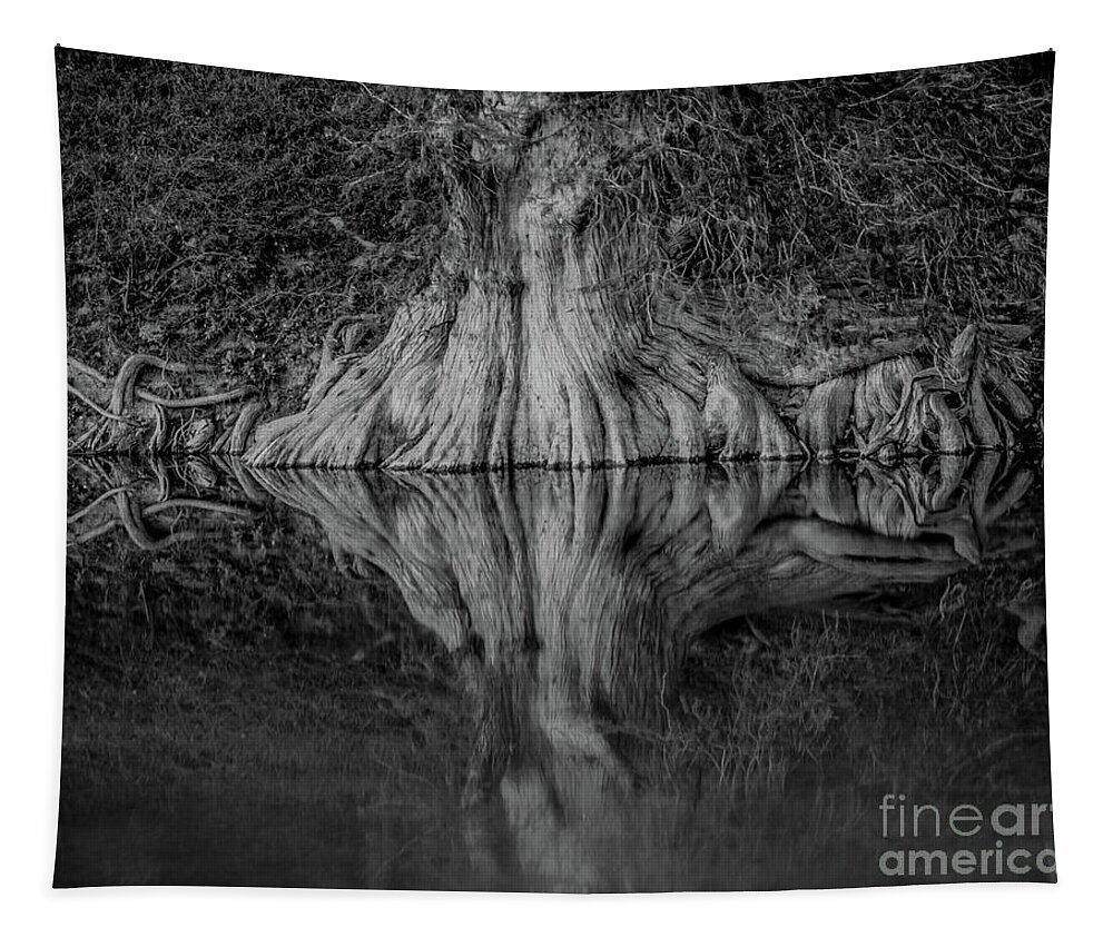 Bald Cypress Reflection In Black And White Michael Tidwell Guadalupe River Mike Tidwell Tapestry featuring the photograph Bald Cypress Reflection in Black and White by Michael Tidwell