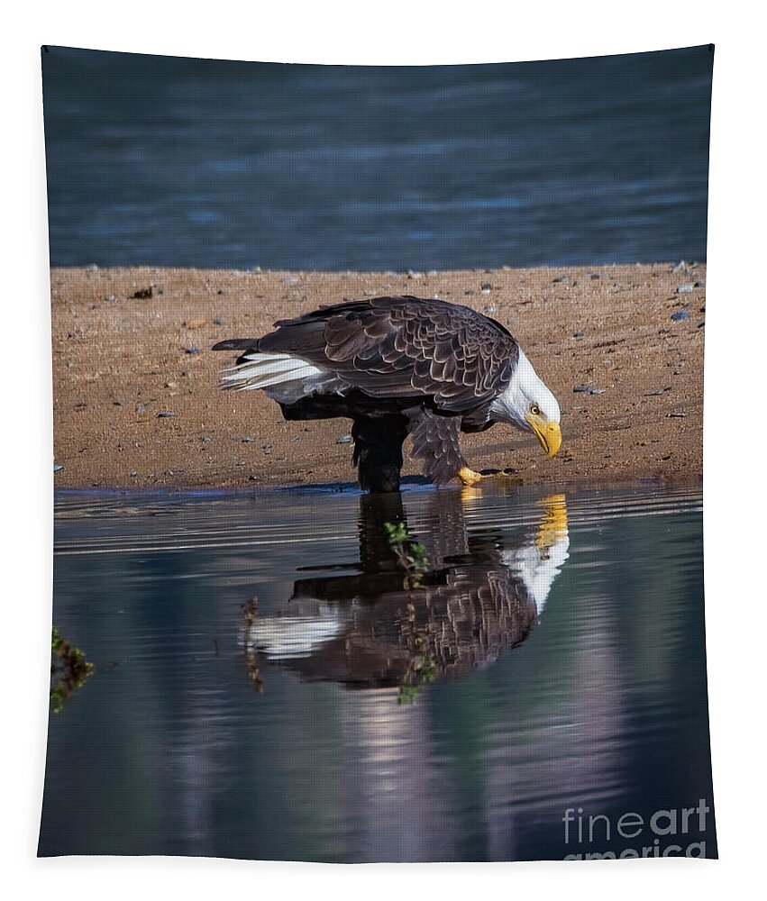 Bald Eagle And Reflection Tapestry featuring the photograph Bald Eagle And Reflection by Mitch Shindelbower