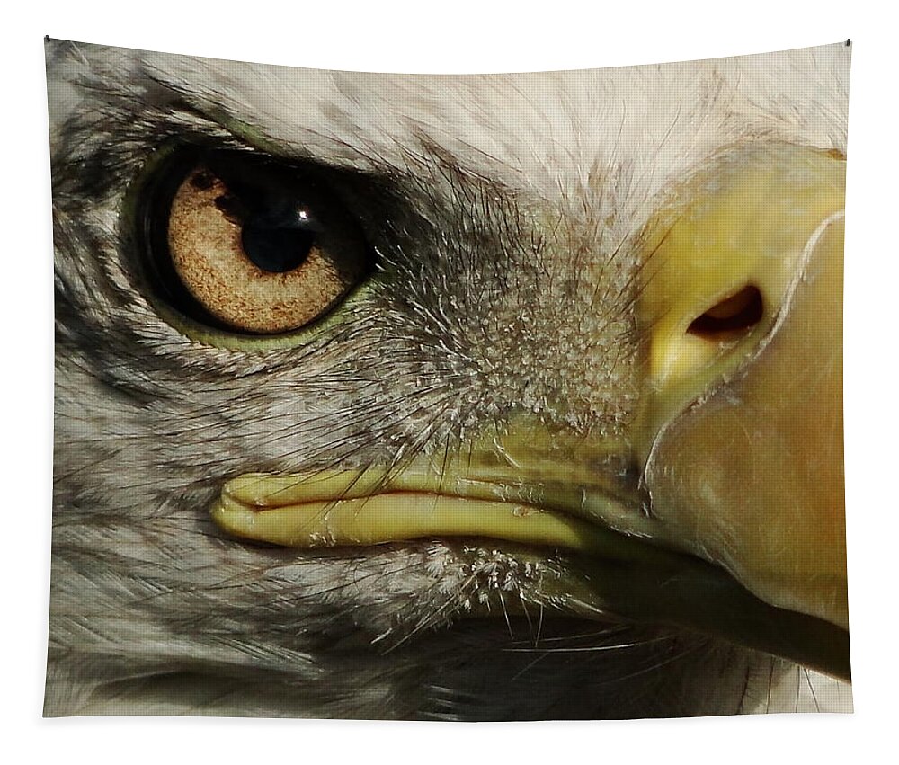 Bald Eagle Tapestry featuring the photograph Bald Eagle Eye by Liz Vernand