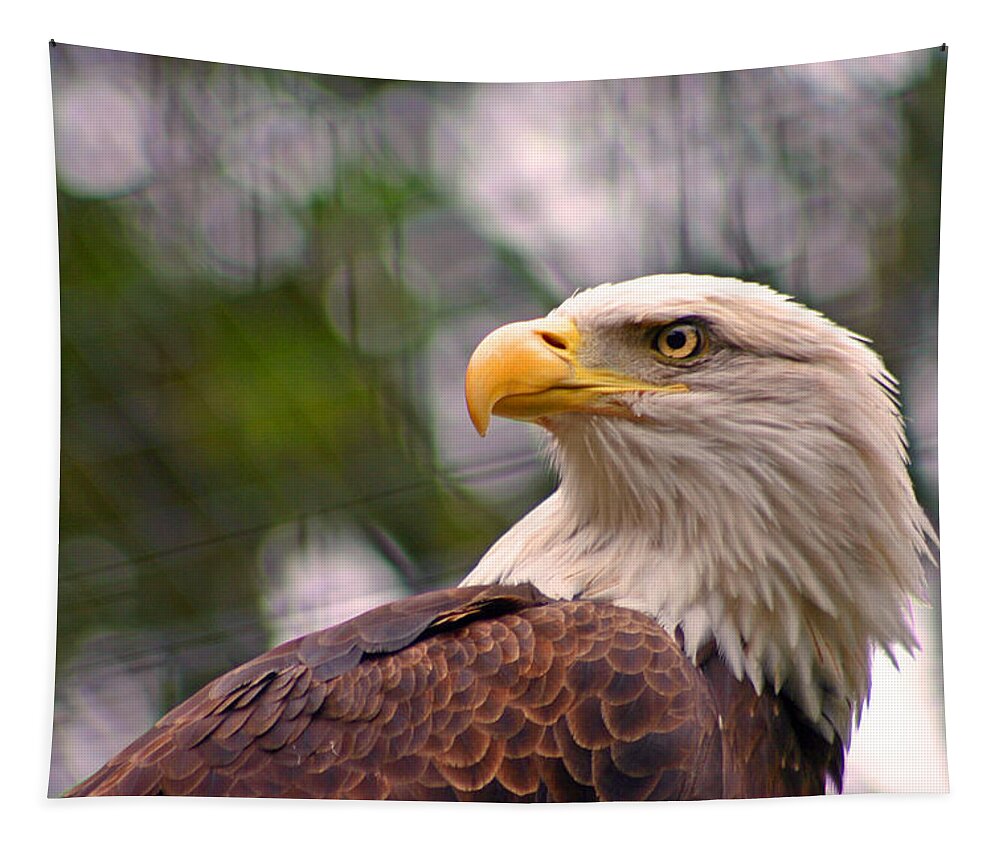Zoo Tapestry featuring the photograph Bald Eagle Majestic by David Rucker
