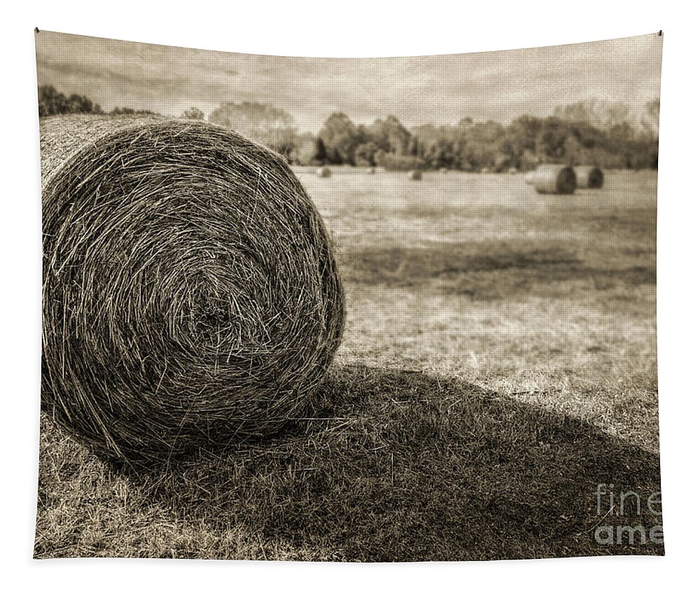 Bales Tapestry featuring the photograph Bales by John Anderson