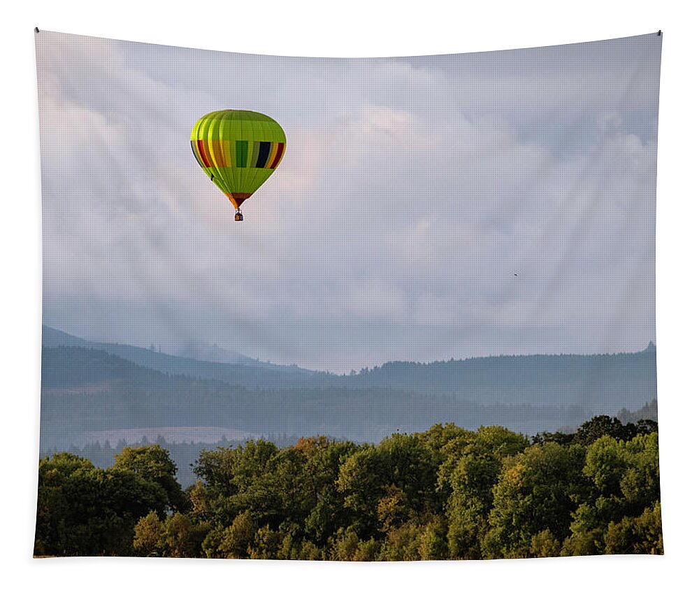 Hot Air Balloon Tapestry featuring the photograph Balloon Over Farmland by Catherine Avilez