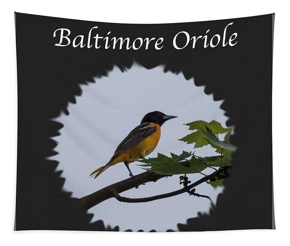 Baltimore Oriole Tapestry featuring the photograph Baltimore Oriole by Holden The Moment