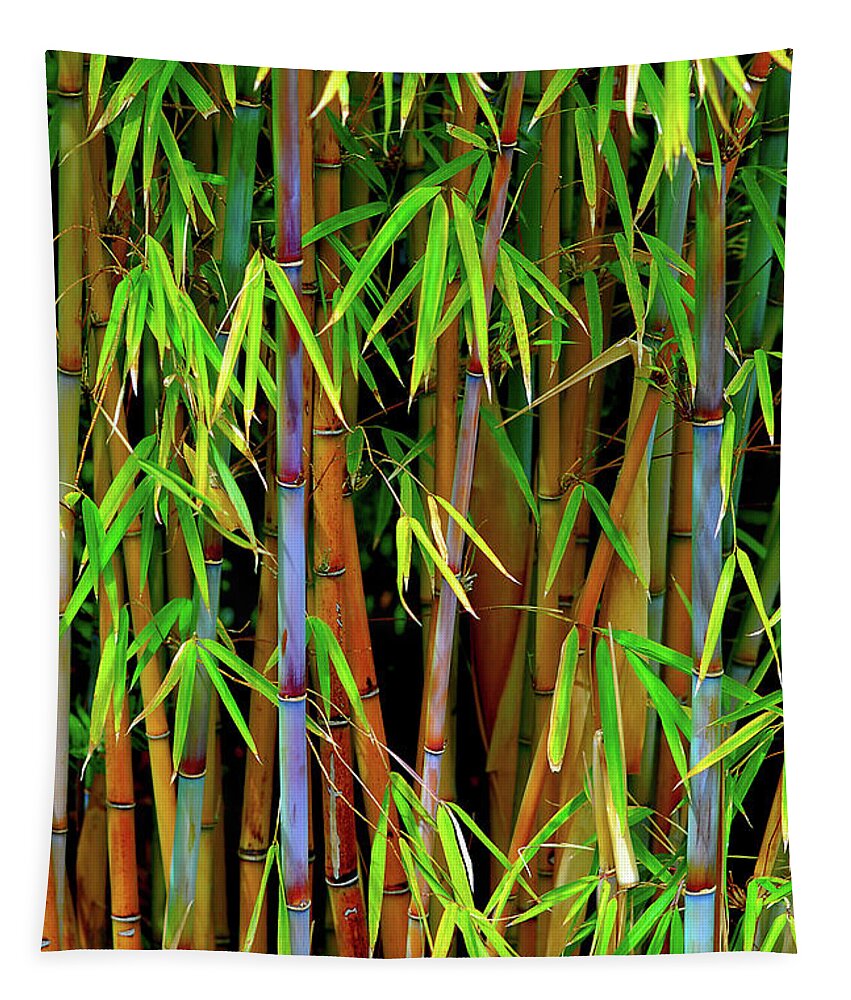 Bamboo Tapestry featuring the photograph Bamboo by Harry Spitz