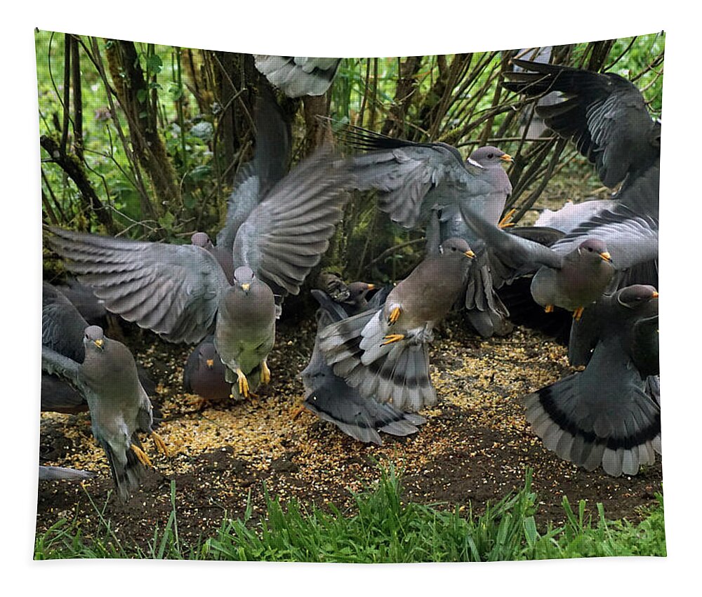 Birds Tapestry featuring the photograph Band-Tailed Pigeons #15 by Ben Upham III