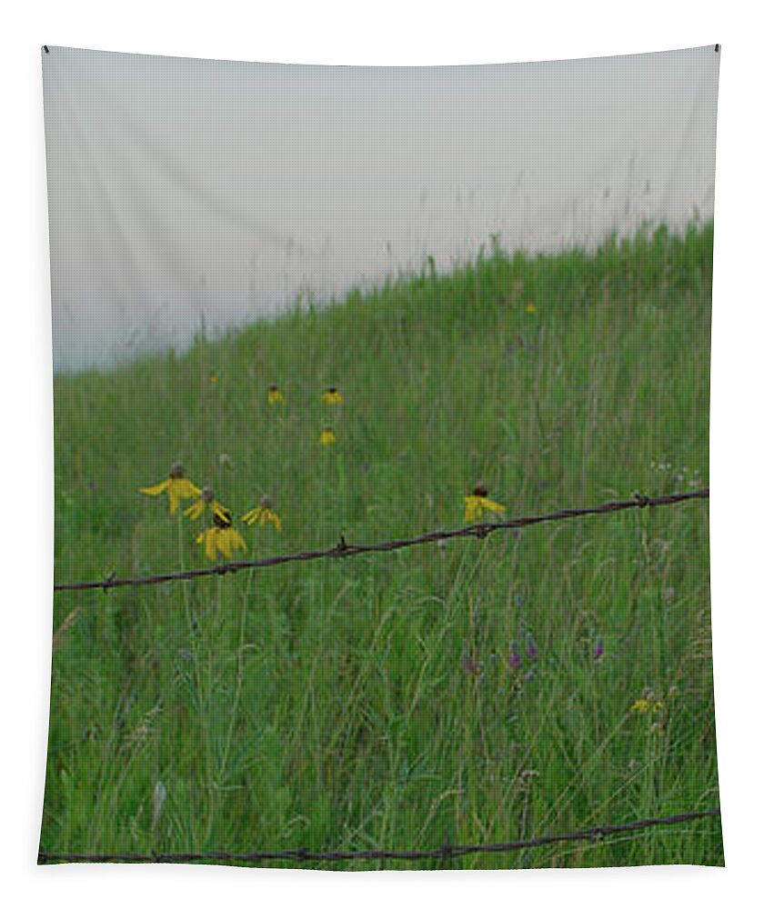 Barbwire Tapestry featuring the photograph Barb Wire Prairie by Troy Stapek