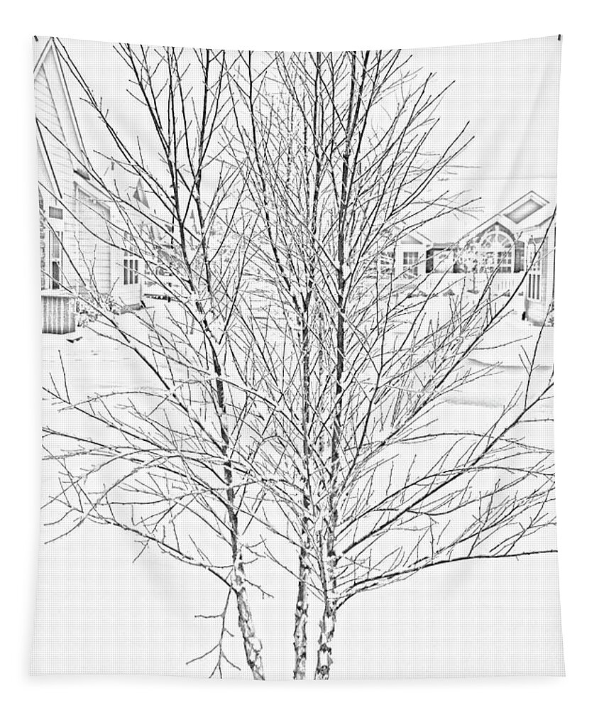 Bare Tapestry featuring the photograph Bare Naked Tree by Roberta Byram