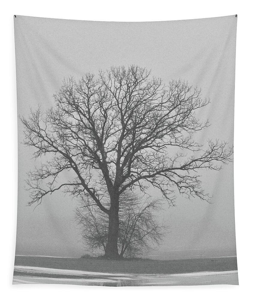 Tree Tapestry featuring the photograph Bare Tree in Fog by Nancy Landry